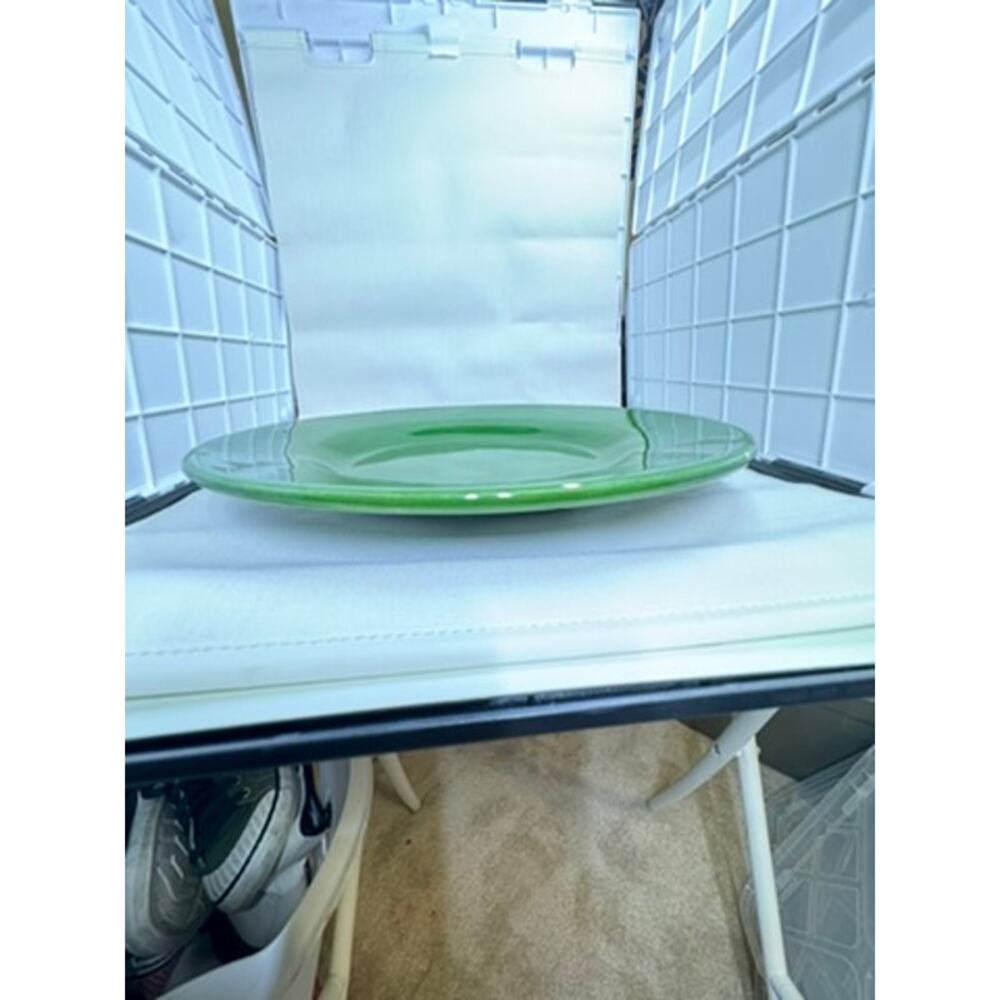 Pottery Barn‎ "SAUSALITO" Green Large Plate PLZ READ!! SMALL CHIP